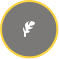 modern